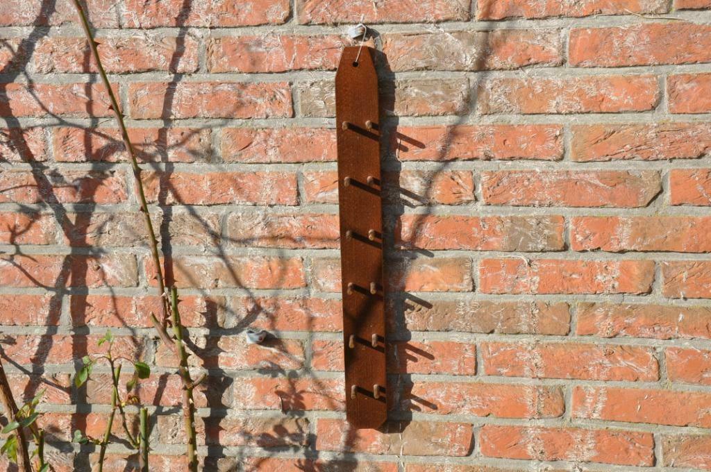 §  etagère murale en bois pour 6 coquetiers, Maison & Meubles, Accessoires pour la Maison | Étagères murales & Rayons de bibliothèque