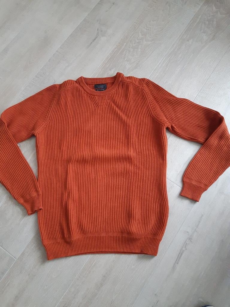 Zara man roest/oranje trui maat L, Vêtements | Hommes, Pulls & Vestes, Orange, Enlèvement ou Envoi, Zara, Taille 52/54 (L)
