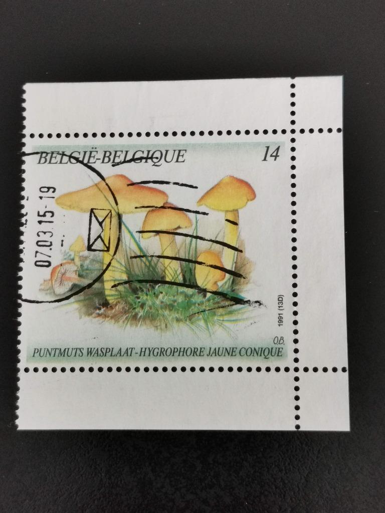 Belgie 1991 - paddenstoelen - puntmutswasplaat, Postzegels en Munten, Ophalen of Verzenden, Gestempeld
