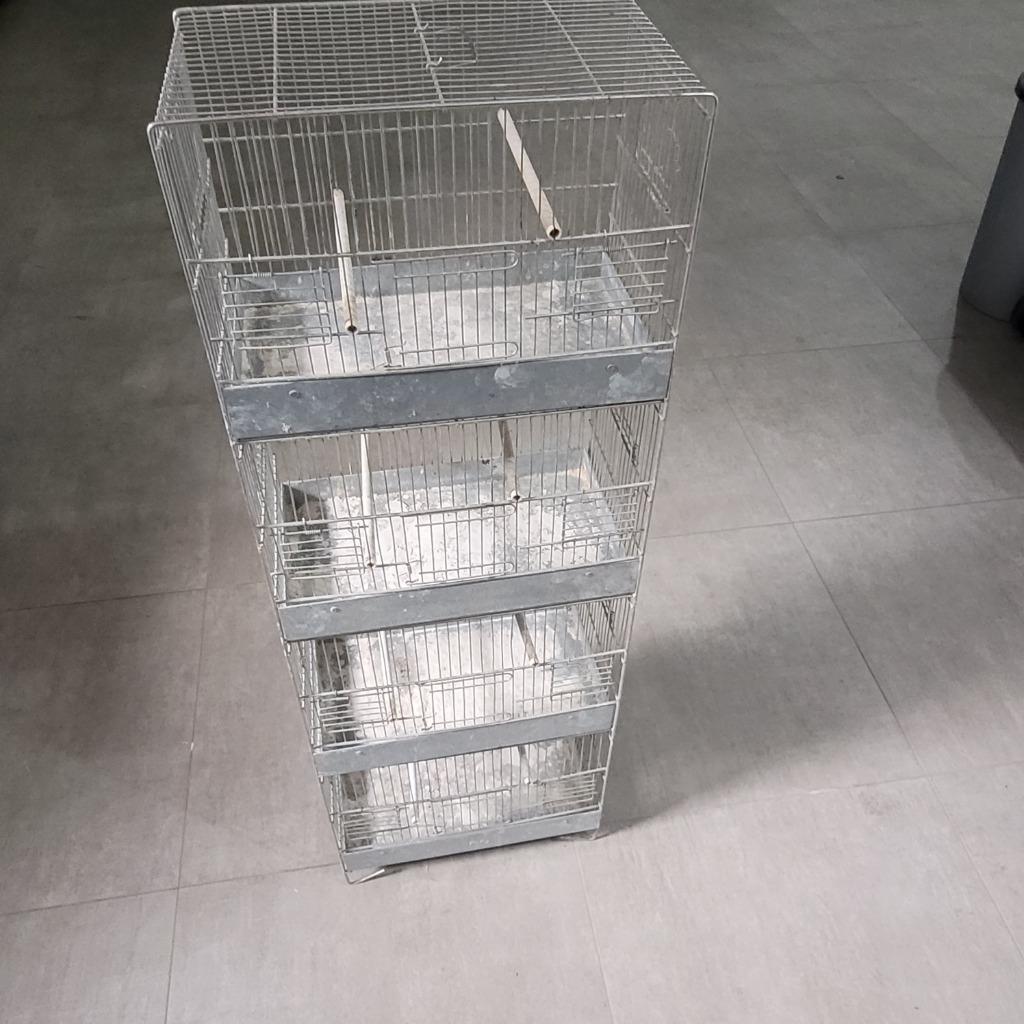Cage d'elevage oiseaux, Dieren en Toebehoren, Overige Dieren-accessoires, Gebruikt, Ophalen of Verzenden