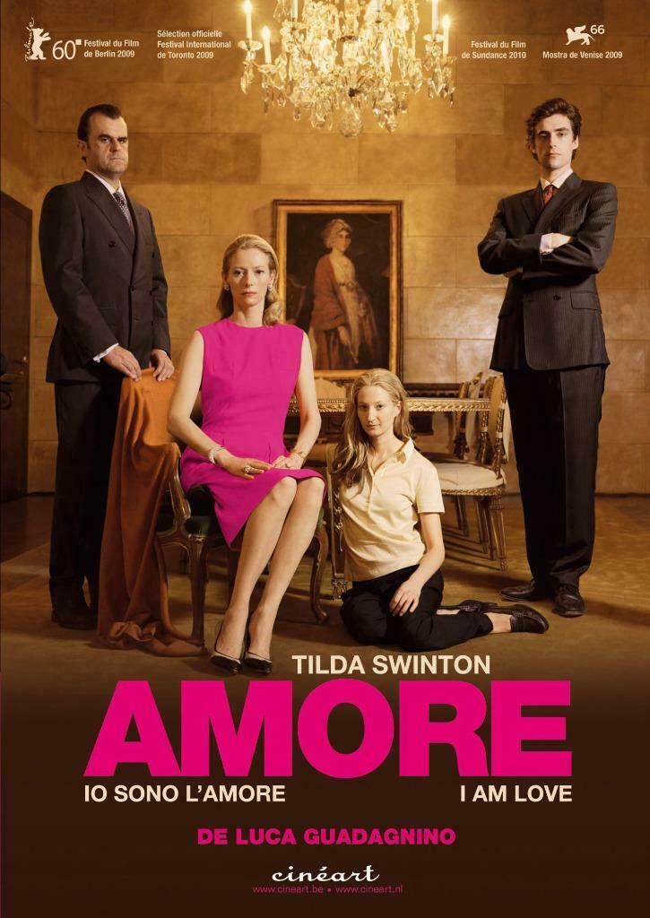 Io sono l'amore - Luca Guadagnino - Tilda Swinton, Vanaf 12 jaar, Ophalen of Verzenden, Gebruikt