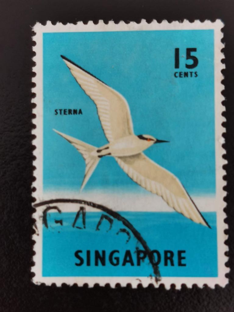 Singapour 1962-68 - oiseaux - sterne, oiseau de mer, Enlèvement ou Envoi, Affranchi, Asie du Sud Est