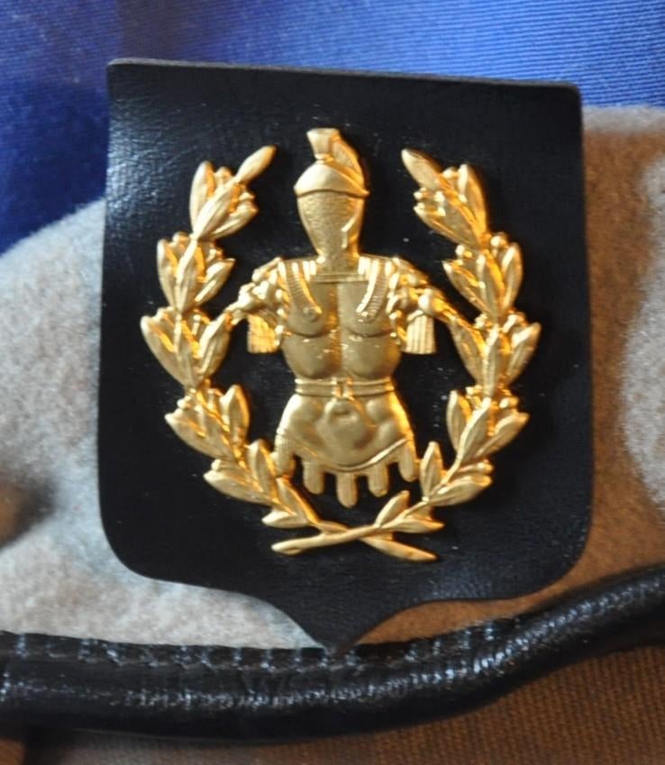 beret force terrestre belge composant blindé officer, Ophalen of Verzenden, Landmacht, Helm of Baret