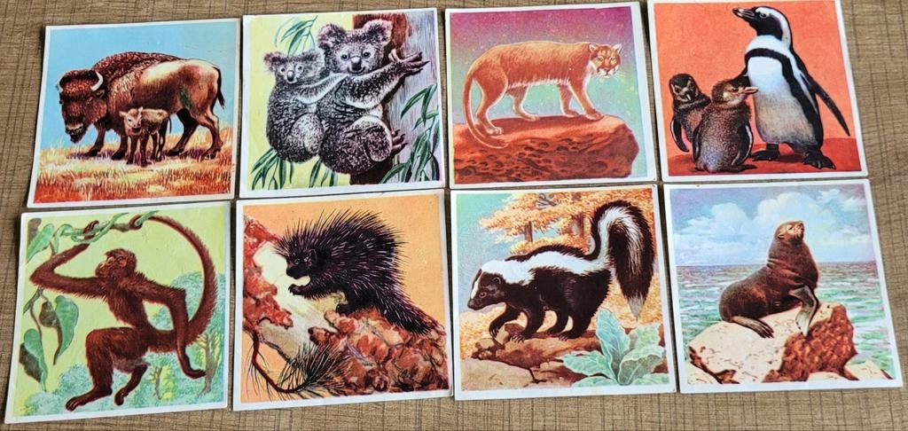 8 oude prentjes reeks dieren (FORT), Verzamelen, Ophalen of Verzenden, Gebruikt, Dier, Prent