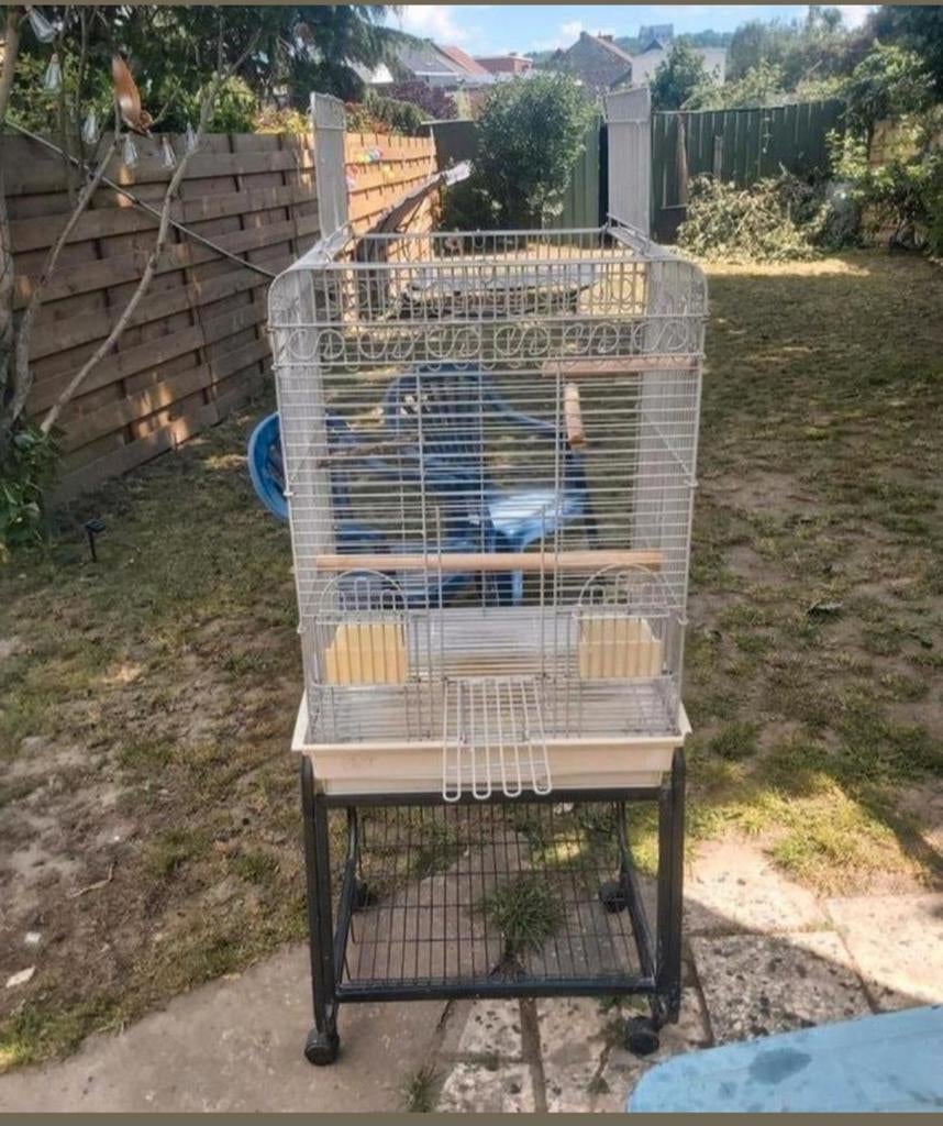 Volière, Animaux & Accessoires, Oiseaux | Cages & Volières, Enlèvement, Comme neuf, Volière