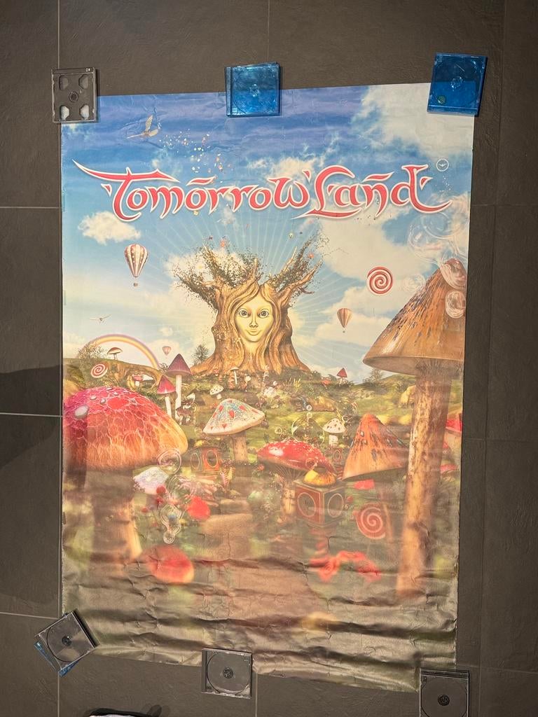 Tomorrowland 2011, Verzamelen, Posters, Ophalen, Gebruikt, Deurposter of groter, Vierkant