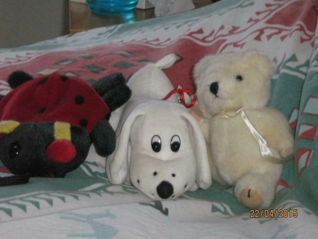 pluche knuffels of beertjes, Ophalen of Verzenden, Nieuw