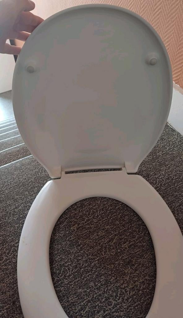 WC-bord, Doe-het-zelf en Bouw, Sanitair, Ophalen of Verzenden, Zo goed als nieuw