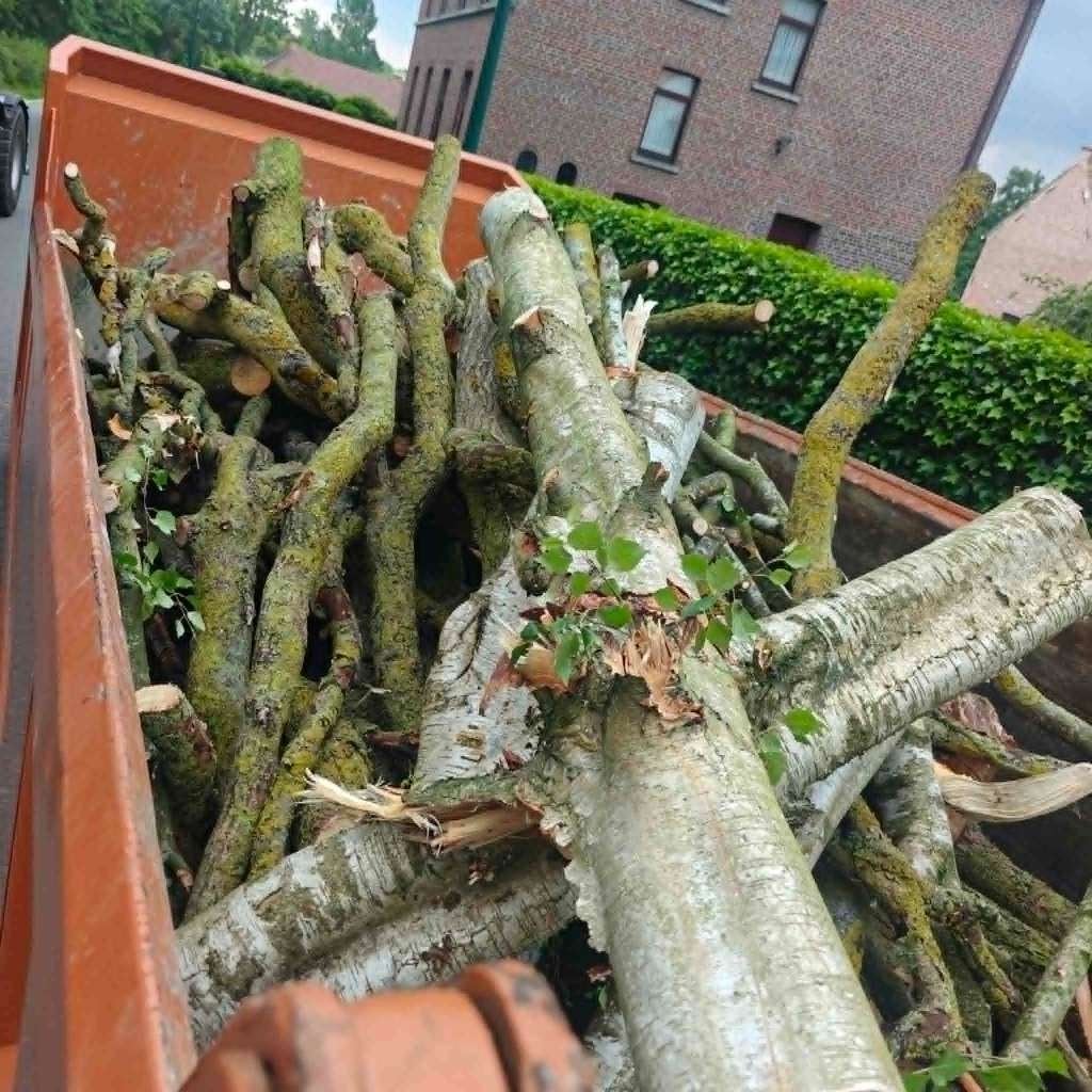 brandhout, 6 m³ of meer, Ophalen, Berkenhout, Stammen