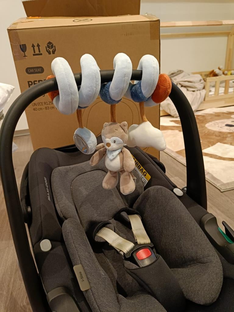 Maxi cosi of park hanger van Nattou Bob the Raccoon, Enlèvement