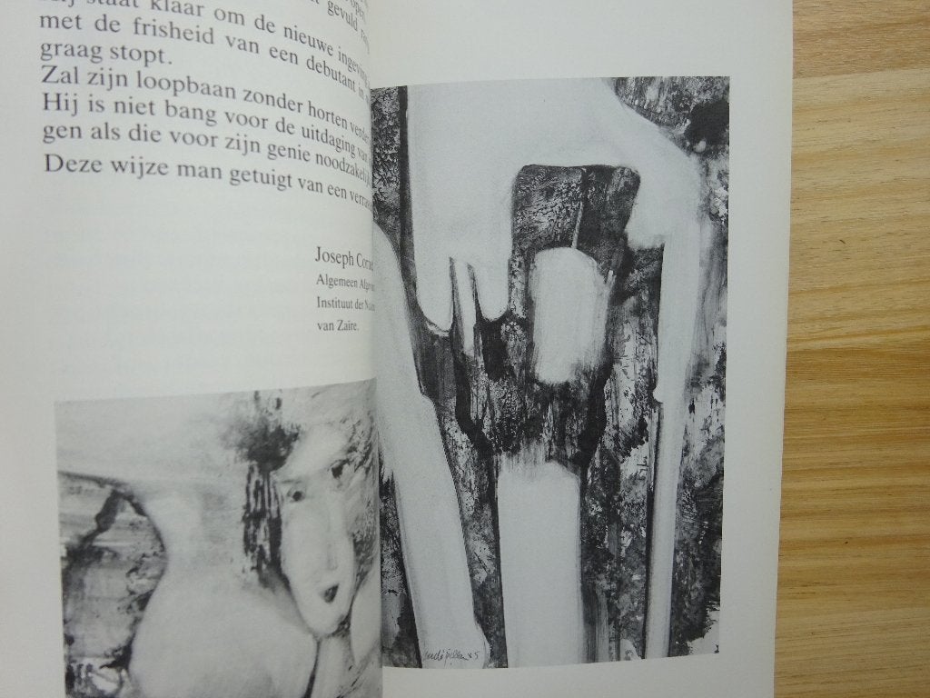 Rudi Pillen, monographie 1985, Ophalen of Verzenden, Gelezen, Schilder- en Tekenkunst