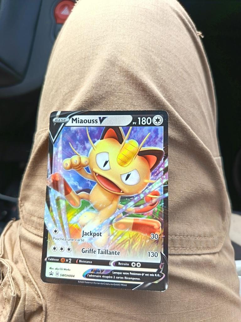 Lot de 30 vraies cartes Pokémon, Enlèvement