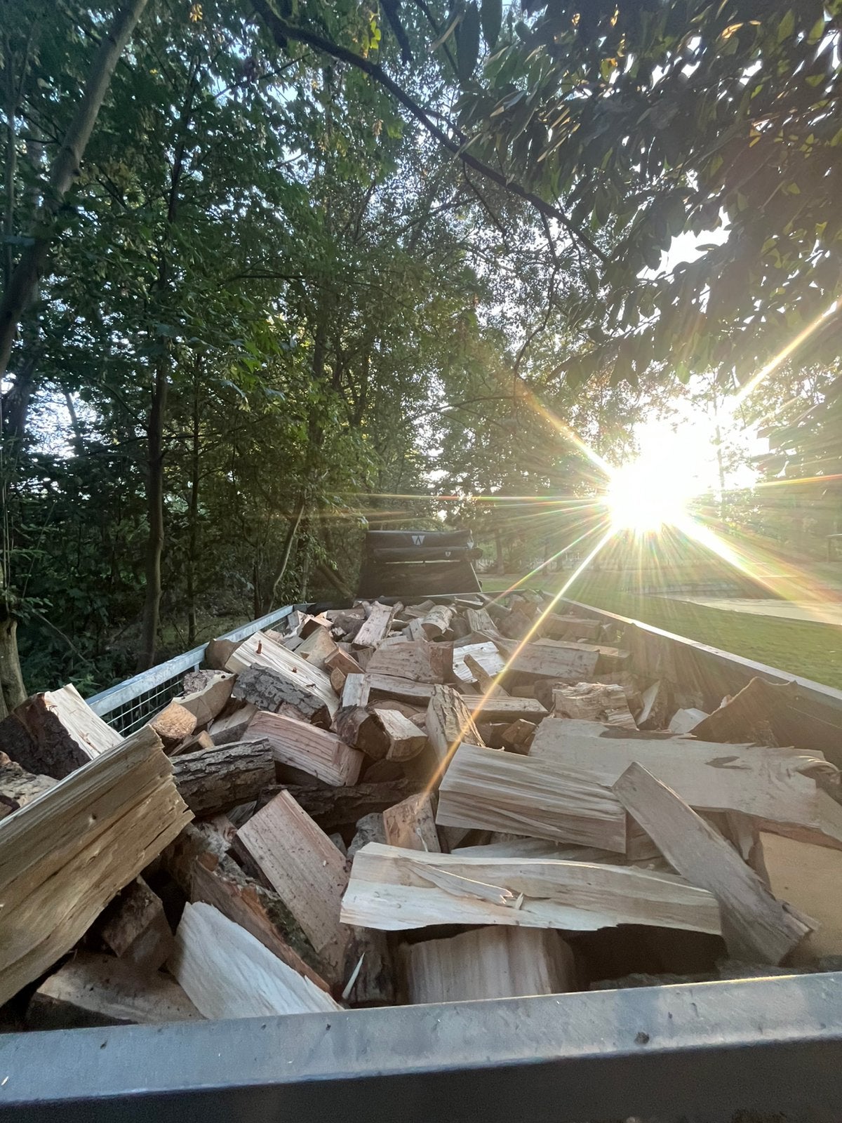 Brandhout, Tuin en Terras, Brandhout, Ophalen