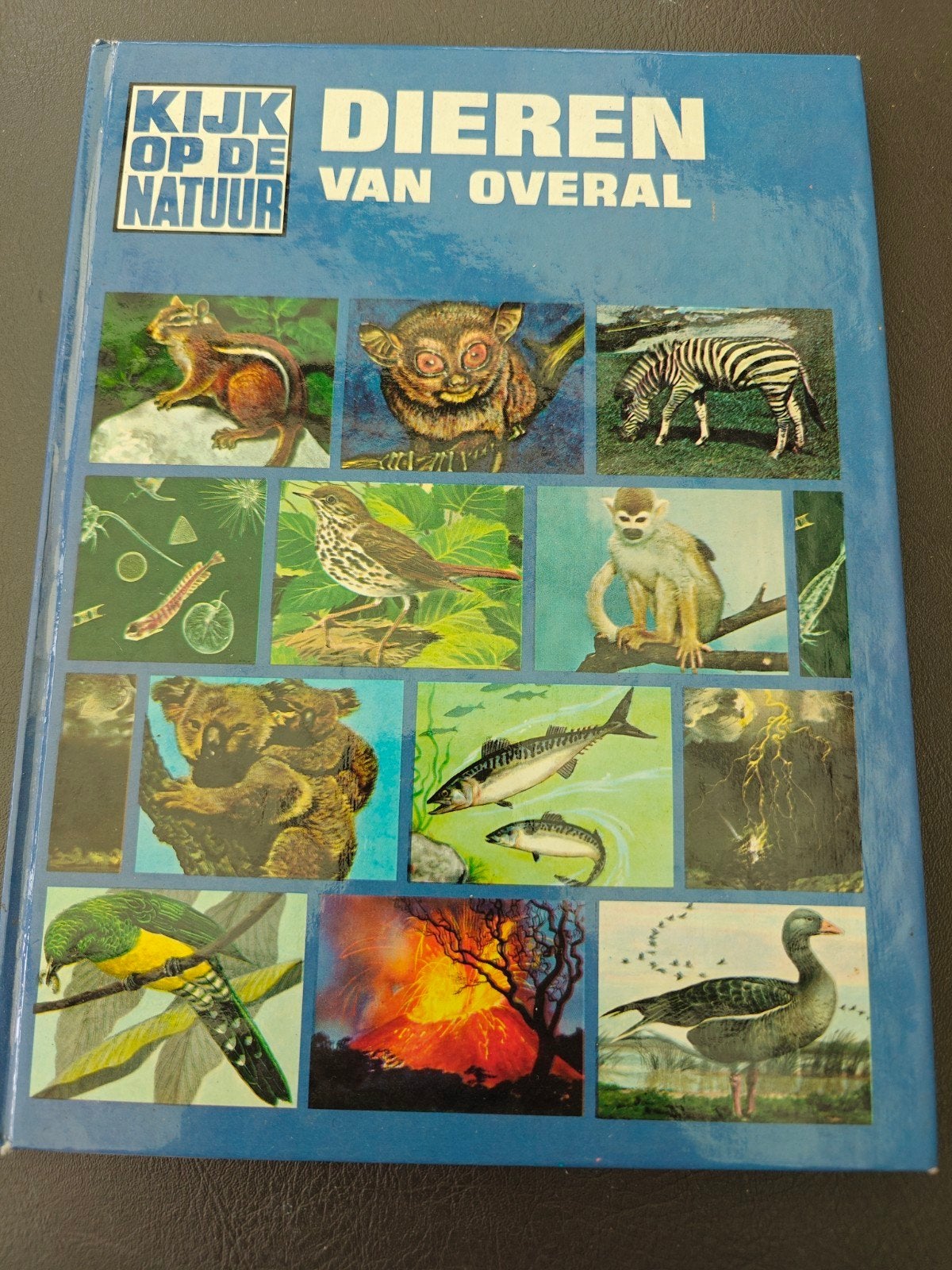 Kijk op de natuur - dieren van overal, Ophalen of Verzenden