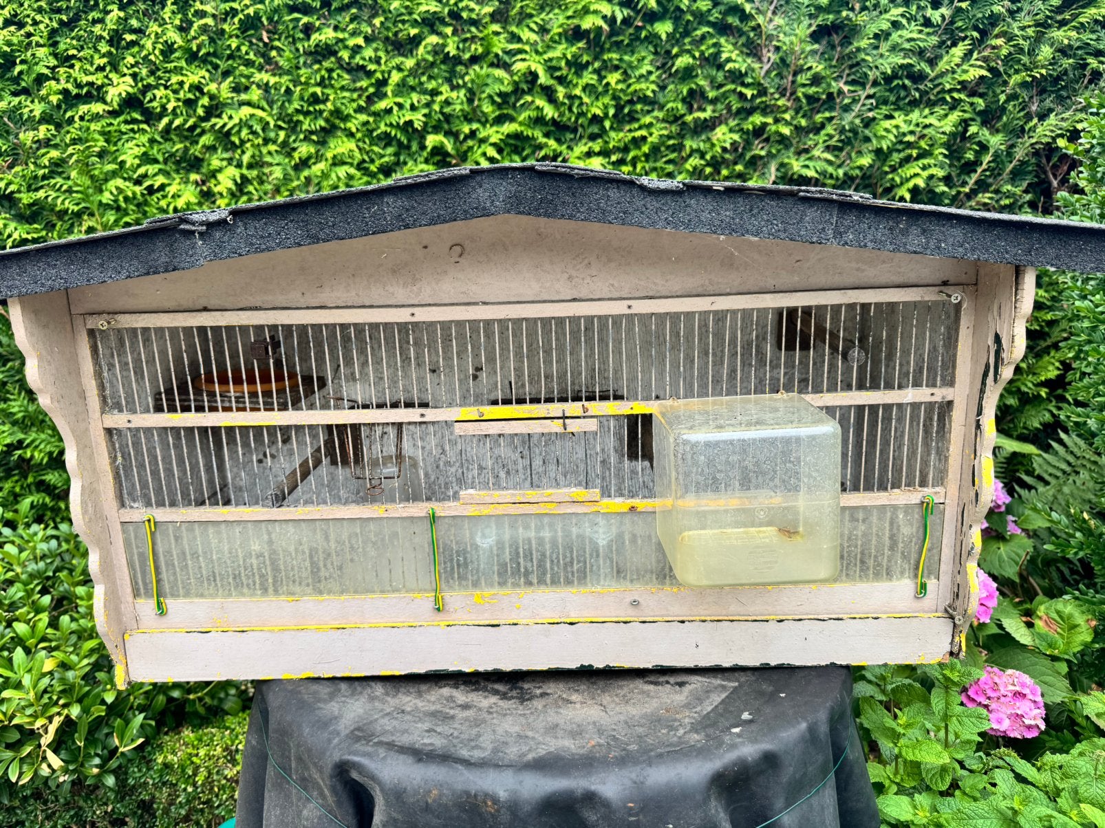 Vogelkooi, Ophalen, Zo goed als nieuw, Vogelkooi