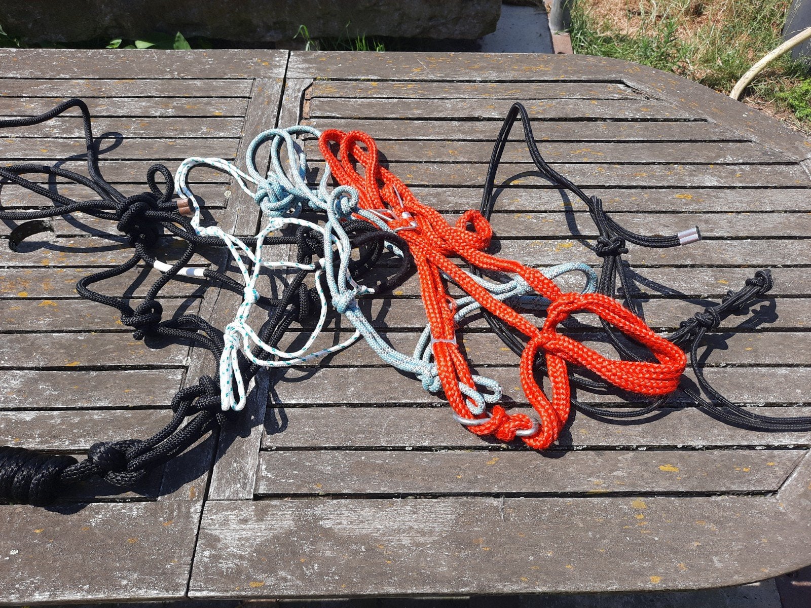 5x touwhalsters verschillende kleuren, Dieren en Toebehoren, Meerkleurig, Ophalen of Verzenden, Zo goed als nieuw, Halster