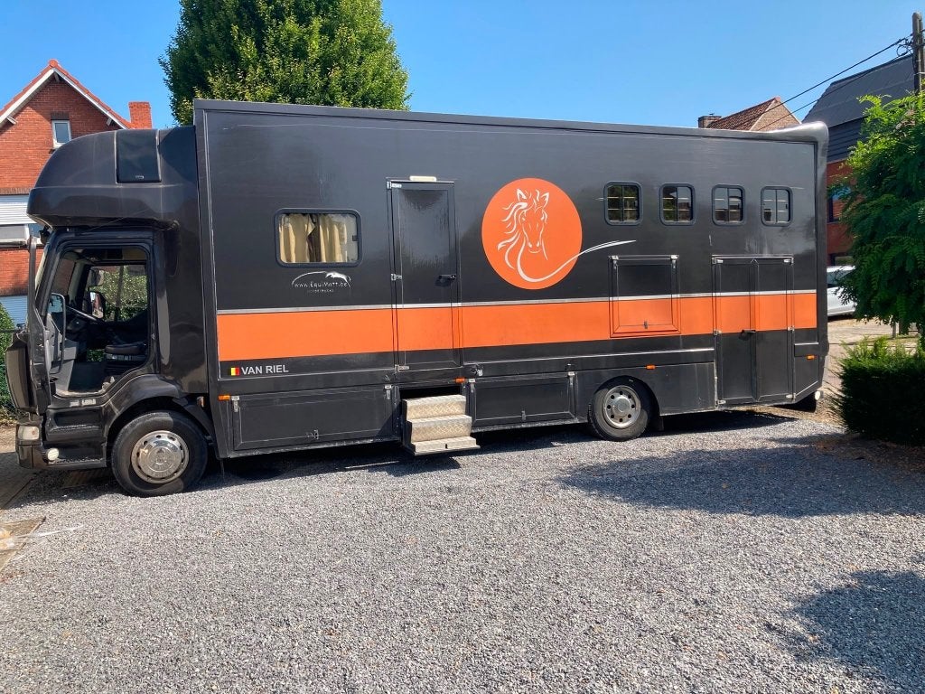 Paardenvrachtwagen ingeschreven als mobilhome (4 paarden), Enlèvement, Utilisé