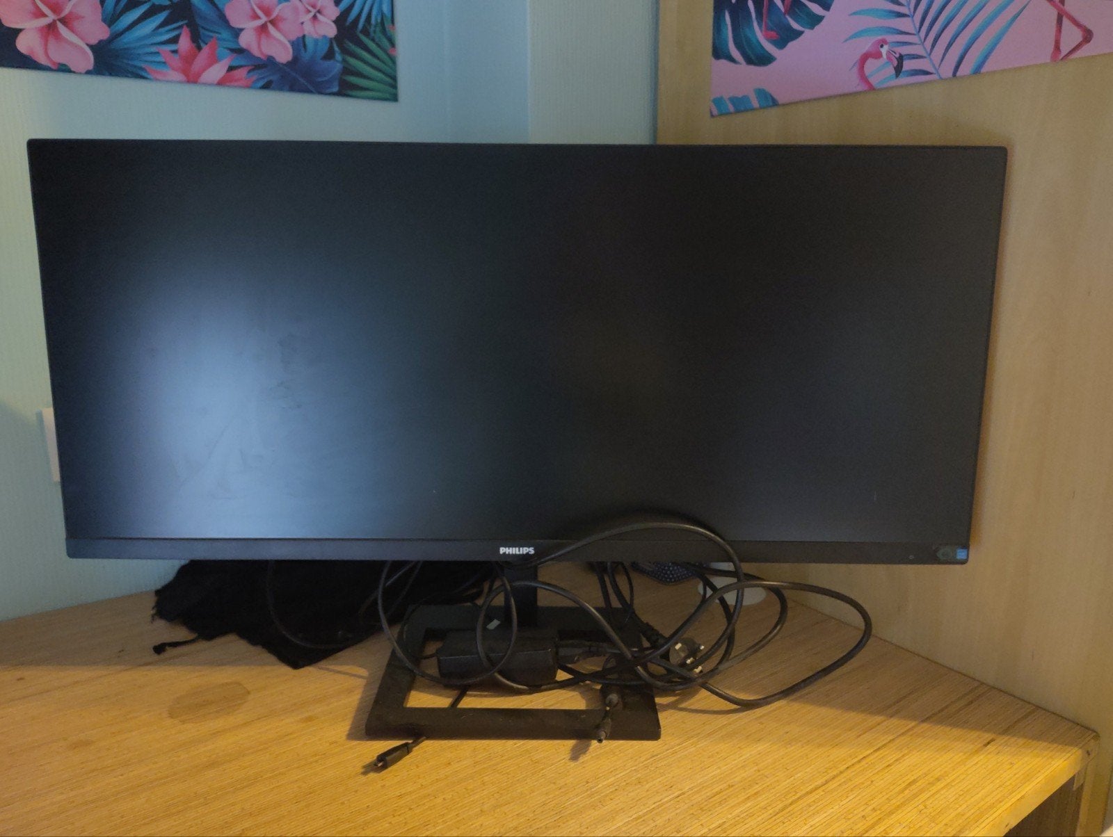 Philips E Line, Informatique & Logiciels, Enlèvement, Philips, Haut-parleurs intégrés