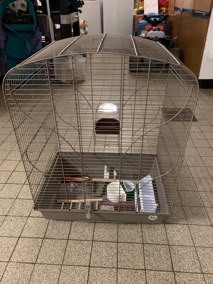 CAGE A OISEAUX (mandarins, ...) ET ACCESSOIRES, Enlèvement, Comme neuf, Métal, Cage à oiseaux
