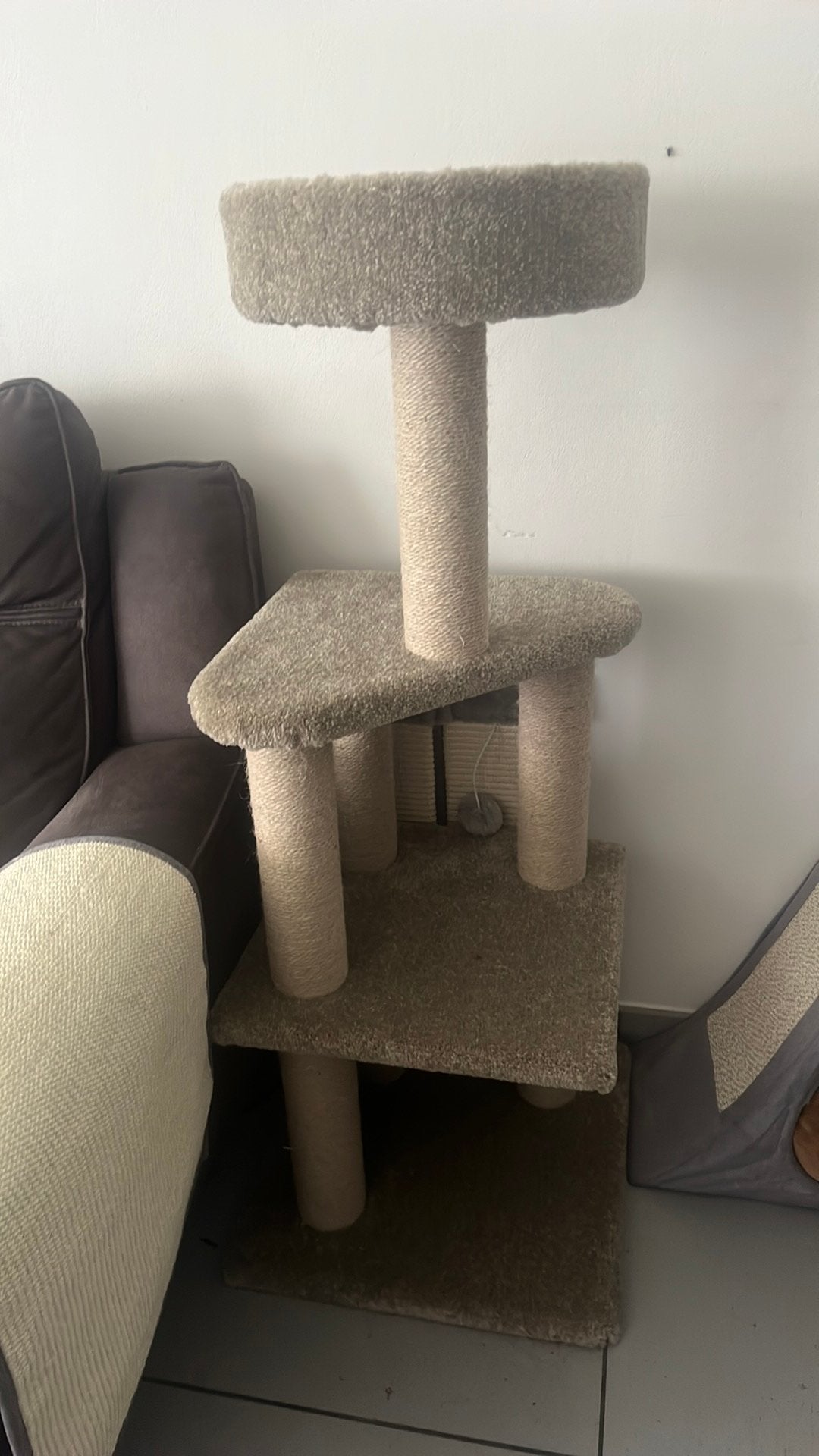 Arbre à chat/panier/tapis à gratter, Animaux & Accessoires, Enlèvement, Comme neuf