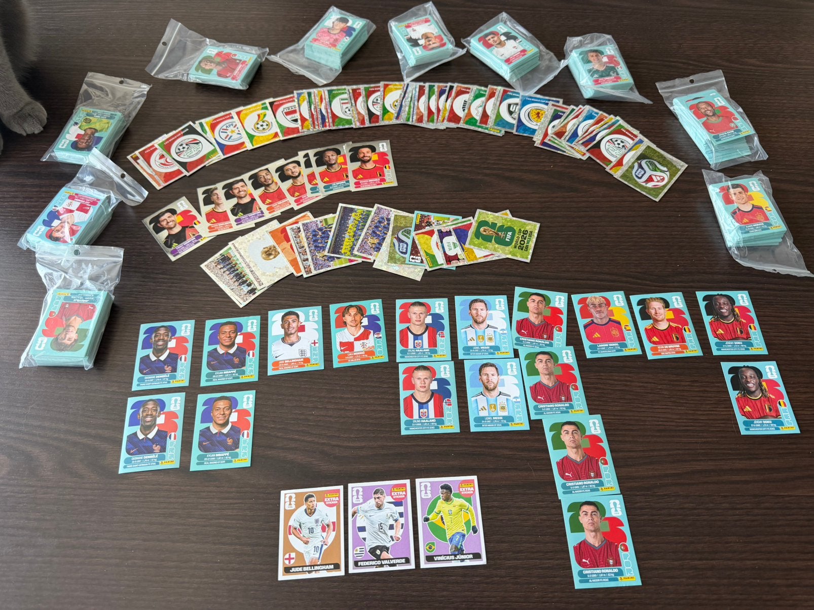 Panini stickers 1200 stuks met al de grote namen erbij, Ophalen