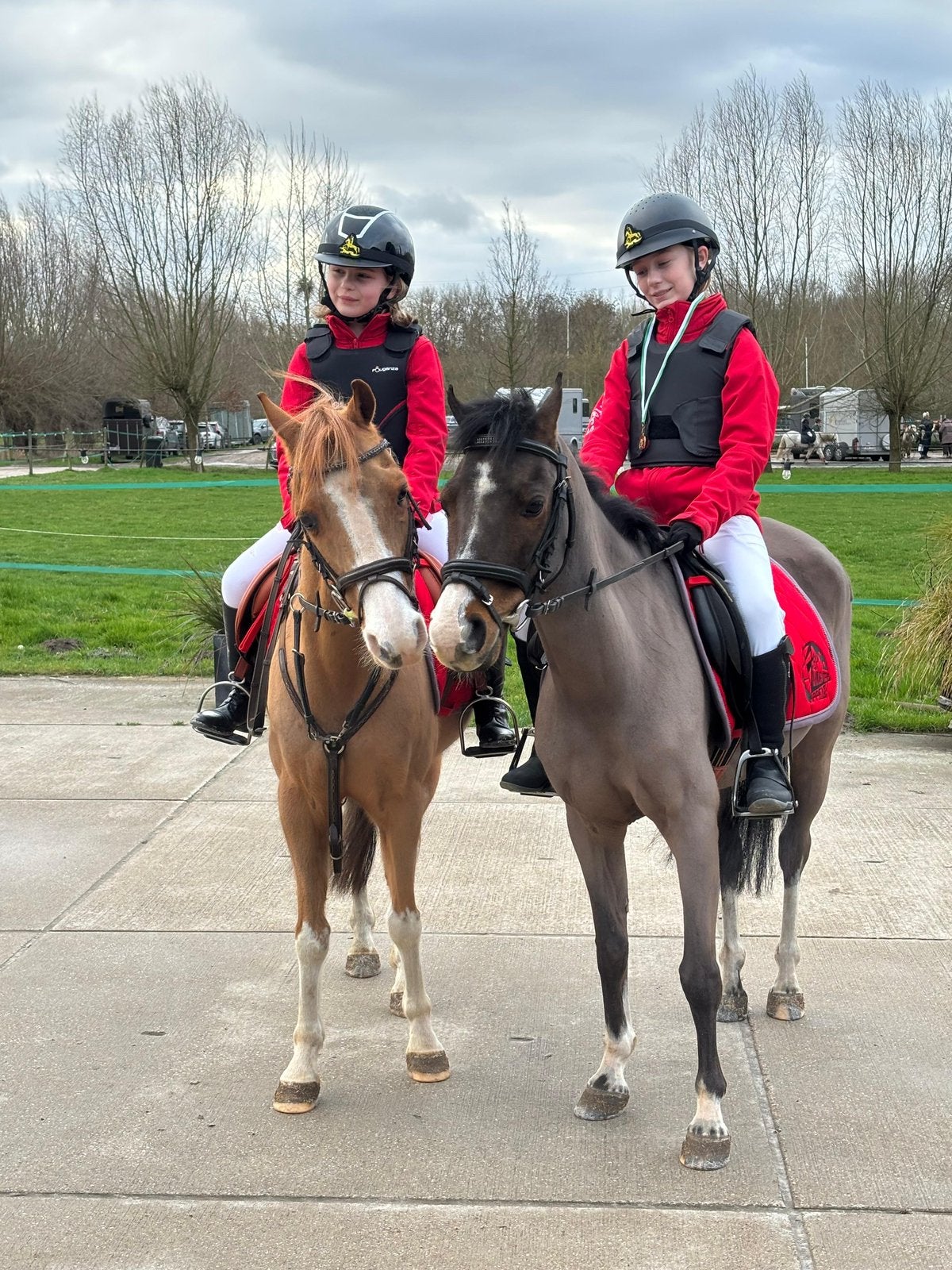 Twee gouden B-pony’s zoeken samen een gouden thuis ️, Ruin, Springpony, B pony (1.17m tot 1.27m), 11 jaar of ouder