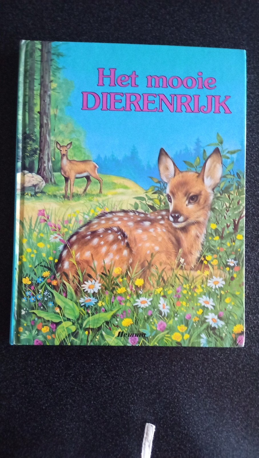 Het mooie dierenrijk, Gelezen, Non-fictie, Jongen of Meisje, Ophalen of Verzenden