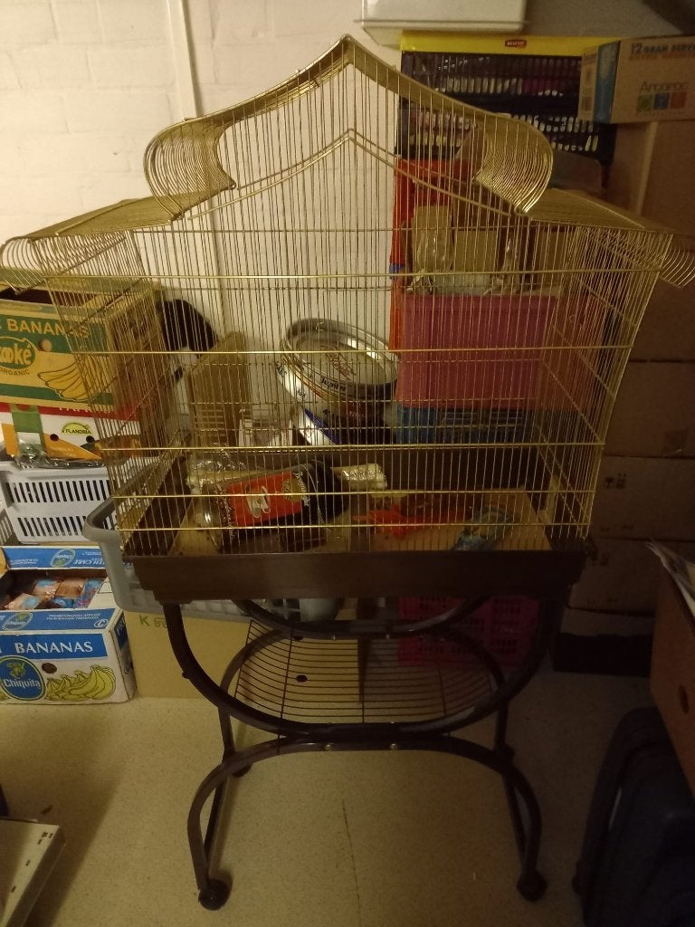 Grote vogelkooi op verrijdbaar onderstel (wieltjes), Enlèvement, Utilisé, Cage à oiseaux