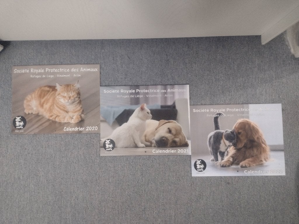 DONNE Calendriers animaux, Divers, Enlèvement ou Envoi, Calendrier mensuel, Neuf