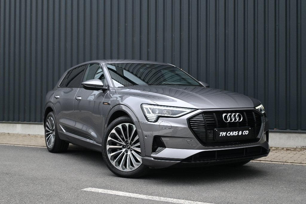 Audi E-tron 50 Quattro ACC, DCC, Cam, Trekh, Keyless, BTW, Auto's, Automaat, 230 kW, 1800 kg, https://public.car-pass.be/vhr/6f29f00b-5674-4d1f-9570-3465e821ea28