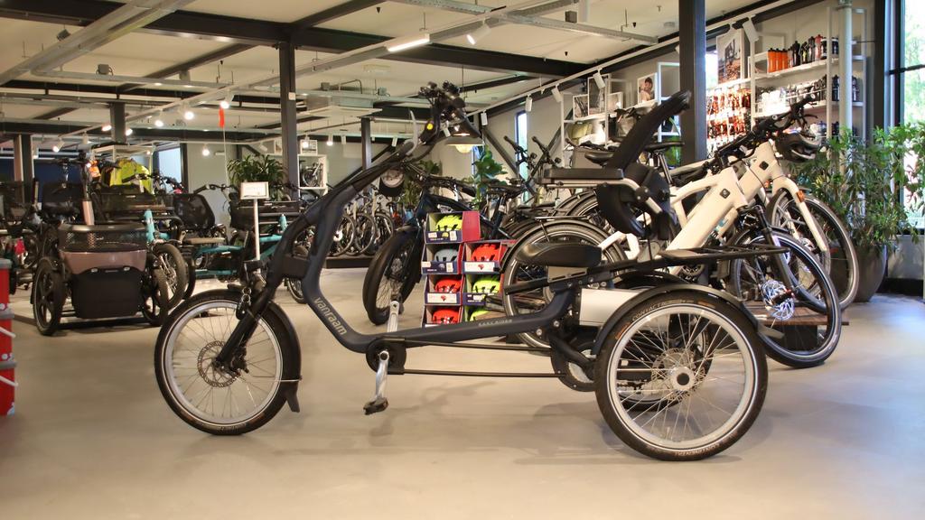 Occasion Van Raam Easy Rider3 Maat M, Fietsen en Brommers, -, Zo goed als nieuw, -, -