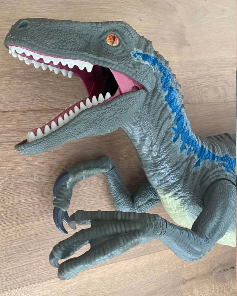 Grote kolossale Velociraptor Blue, Ophalen of Verzenden, Zo goed als nieuw