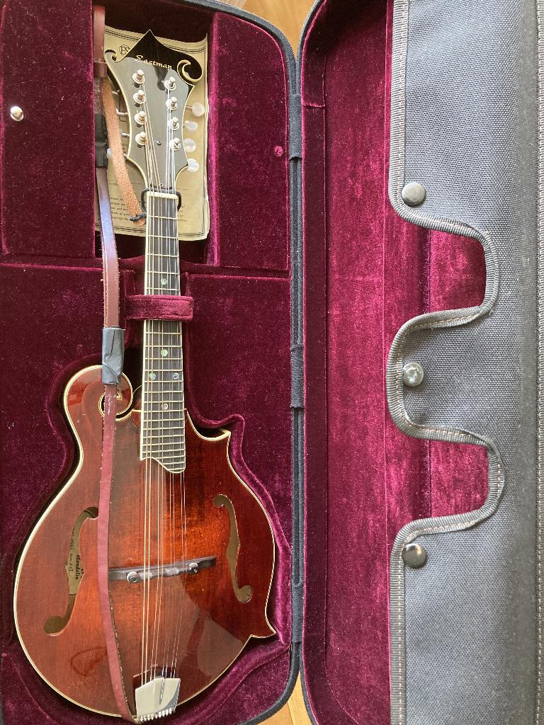 Eastman Mandolin MD615, Musique & Instruments, Instruments à corde | Mandolines, Enlèvement, Utilisé