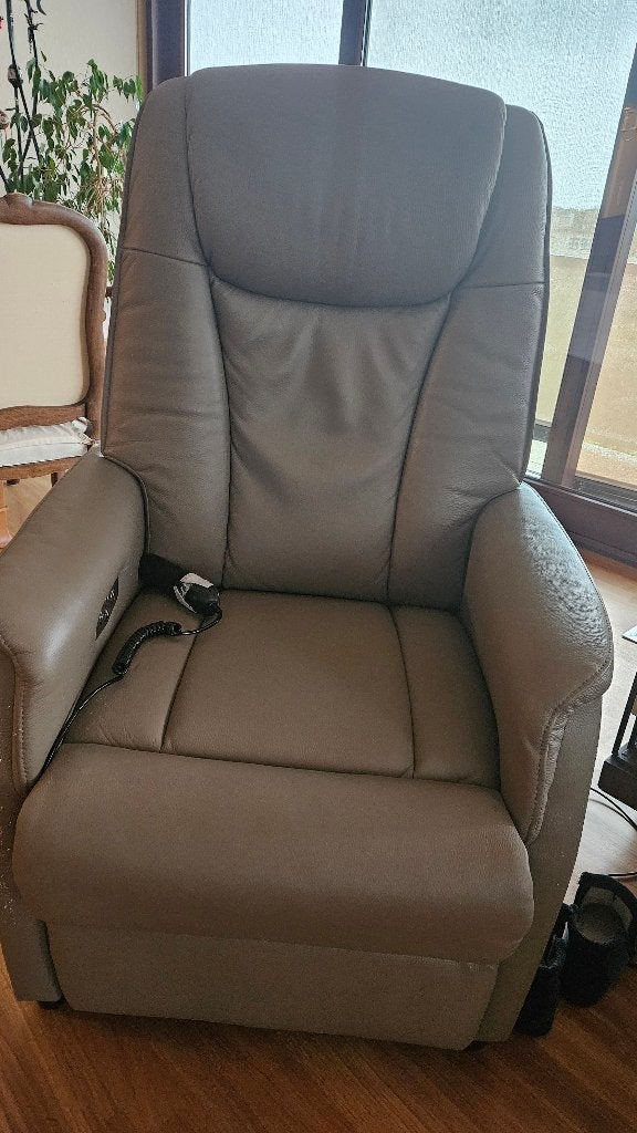 fauteuil / relax, Enlèvement, Utilisé, Cuir, Contemporain