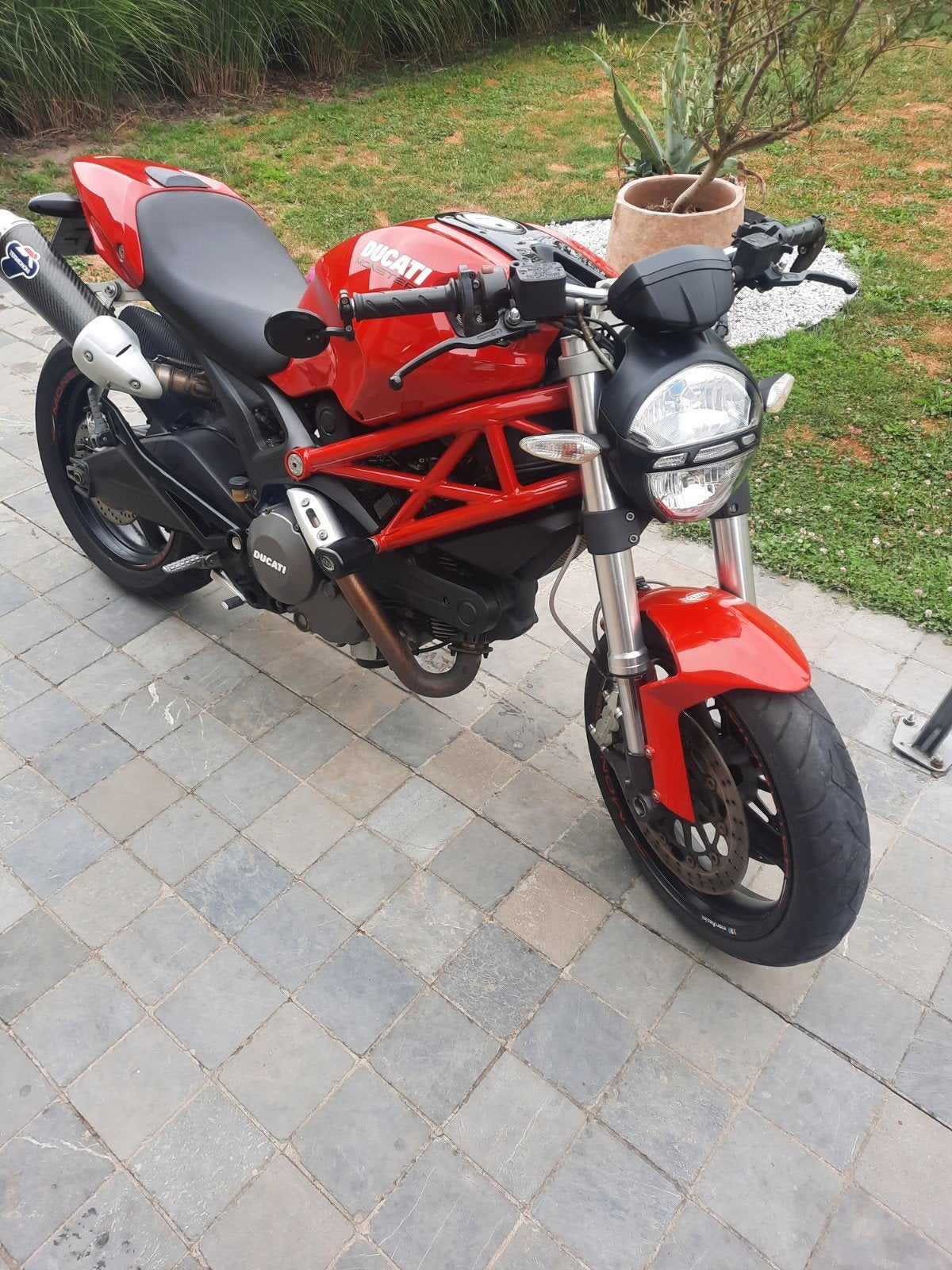 monster 696+, Motoren, Motoren | Ducati, Particulier