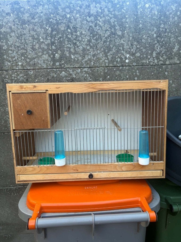 tekoop of teruil tegen gras/valkparkieten vogelkooi/kweekkoo