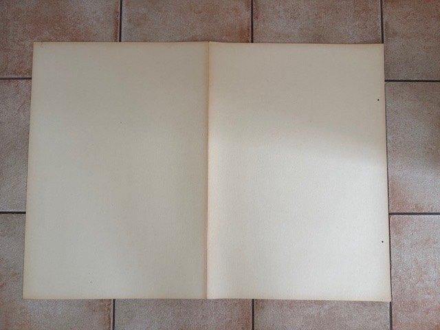 10 Nieuwe stevige grote kartonnen - 64cmx90cm (nr4985), Ophalen of Verzenden, Nieuw
