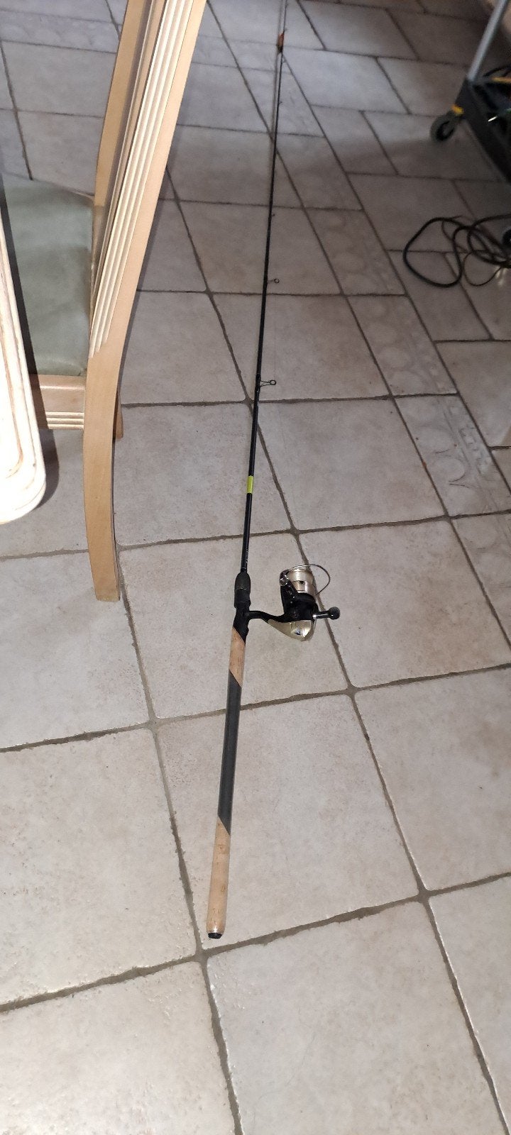 Canne à Pêche, Enlèvement, Utilisé, Canne à pêche complète