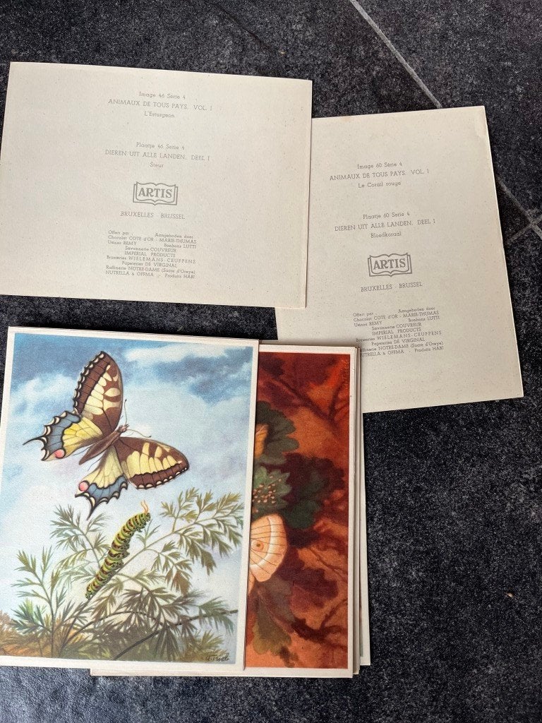 15 chromo dieren uit alle landen deel 1 - serie 4 - 46 -60, Ophalen of Verzenden