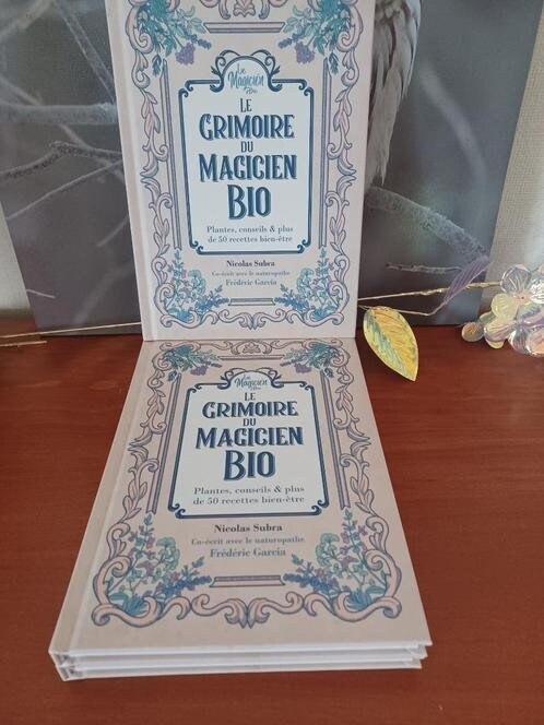 NOUVEAU Le Grimoire du Magicien Bio book, Livres, Livres de cuisine, Neuf, Enlèvement ou Envoi, Cuisine saine, Autres régions