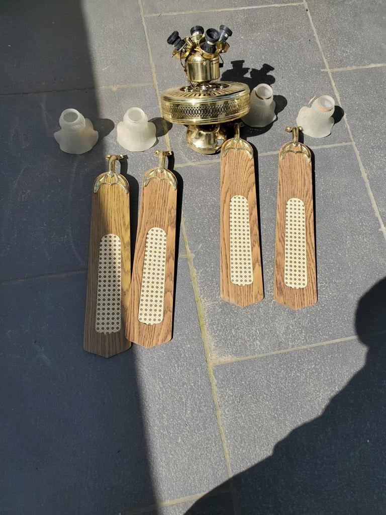 Plafondventilator met lampen, Ophalen, Plafondventilator