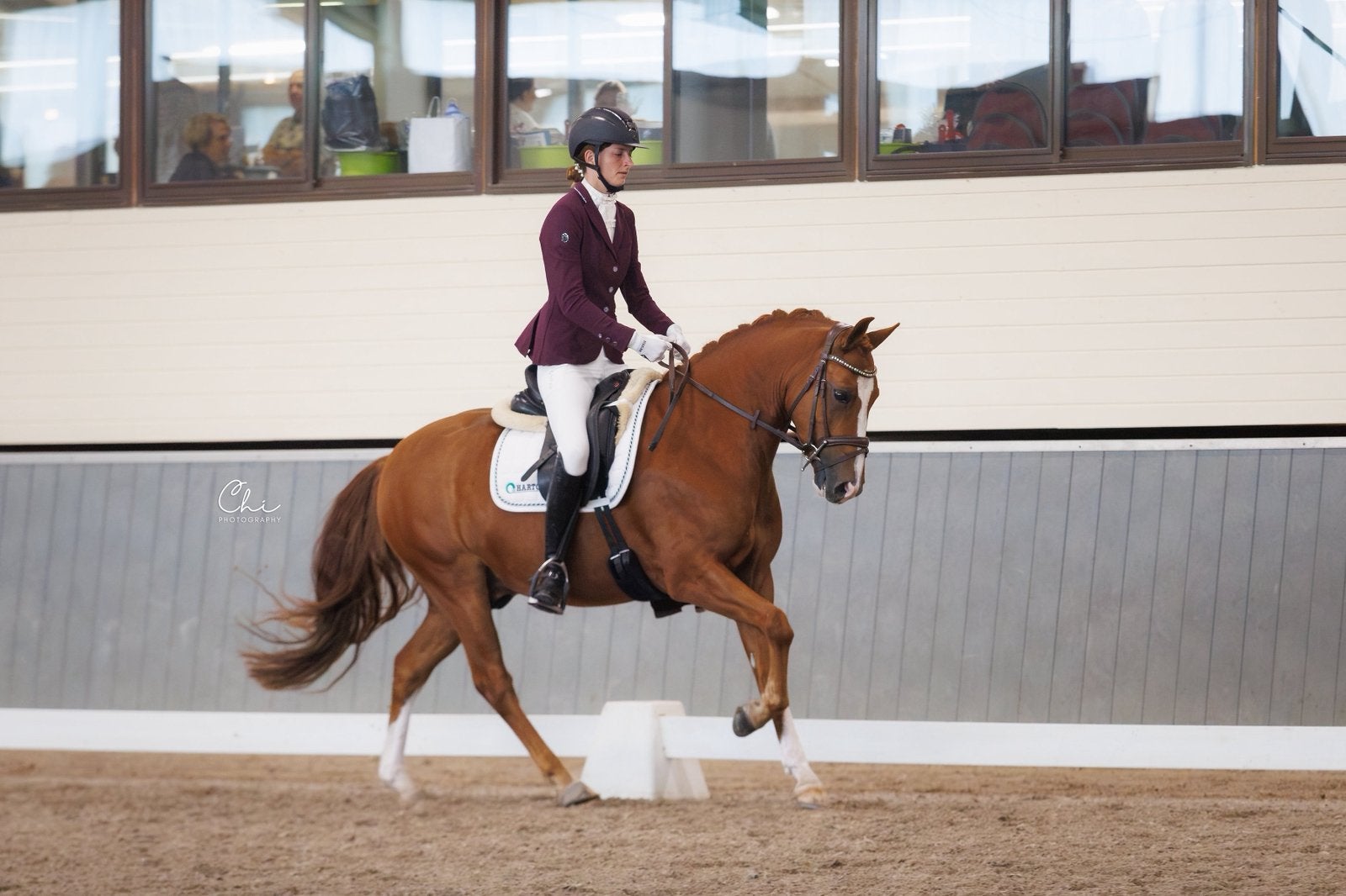 Zeer lieve knapkop allround D pony 4.5 jaar, Dieren en Toebehoren, Met stamboom, Ruin, 3 tot 6 jaar, L