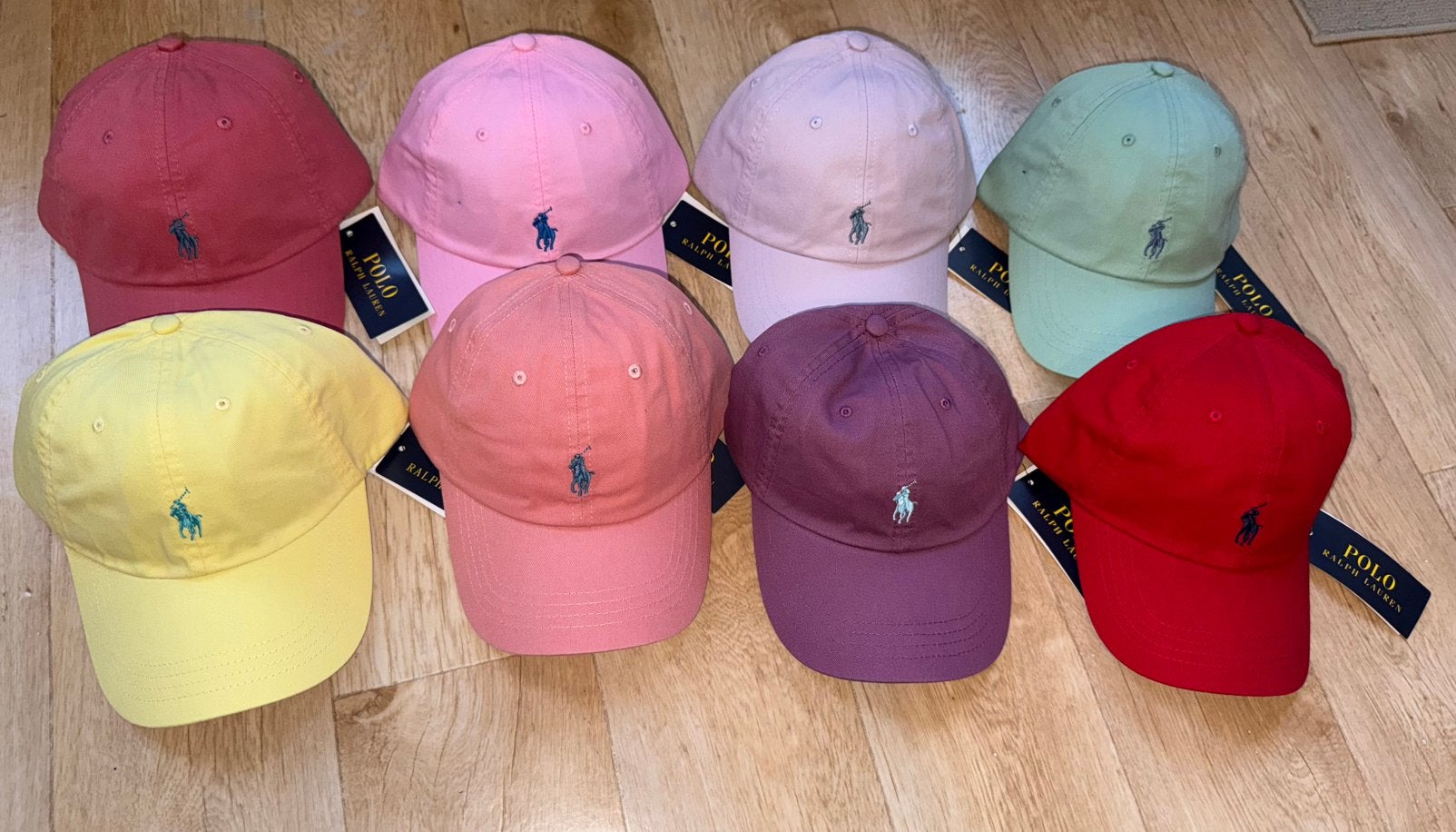 Ralph Lauren Petten, Ophalen of Verzenden, Nieuw, One size fits all, Pet
