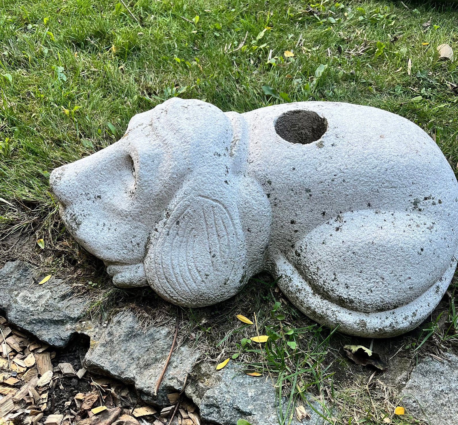 Parasol houder , betonnen hond , loodzwaar . Schattig deco, Ophalen, Gebruikt, Beton, Dierenbeeld
