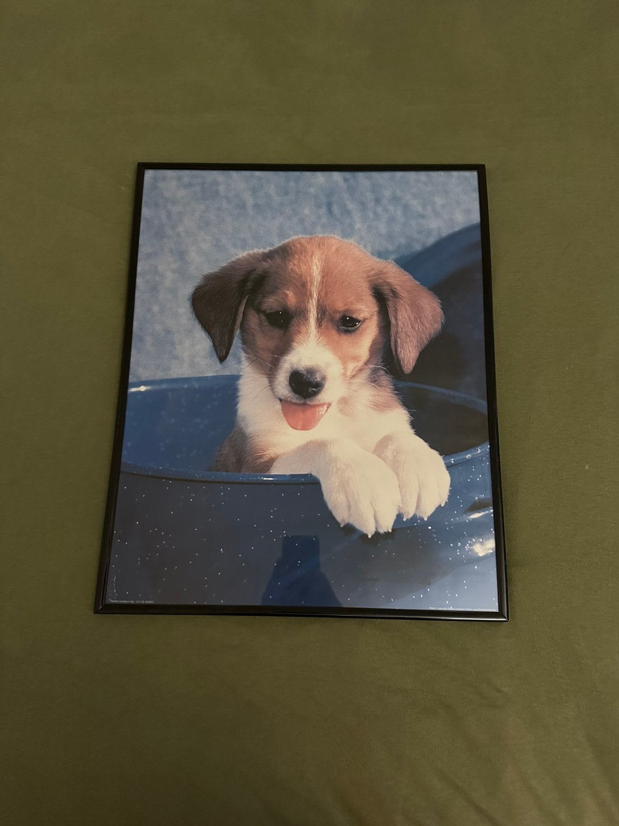 Cadre pour chien, 50 cm, Multicolore, Comme neuf, Enlèvement