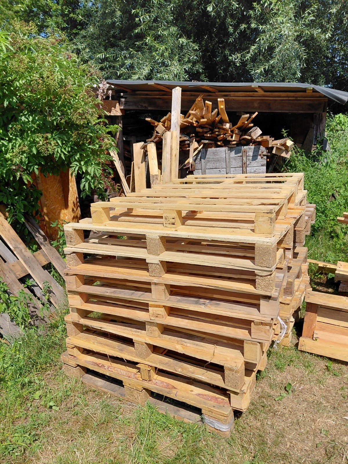 Houten palletten, Bricolage & Construction, Bois & Planches, Pin, 200 à 250 cm, Enlèvement, Utilisé