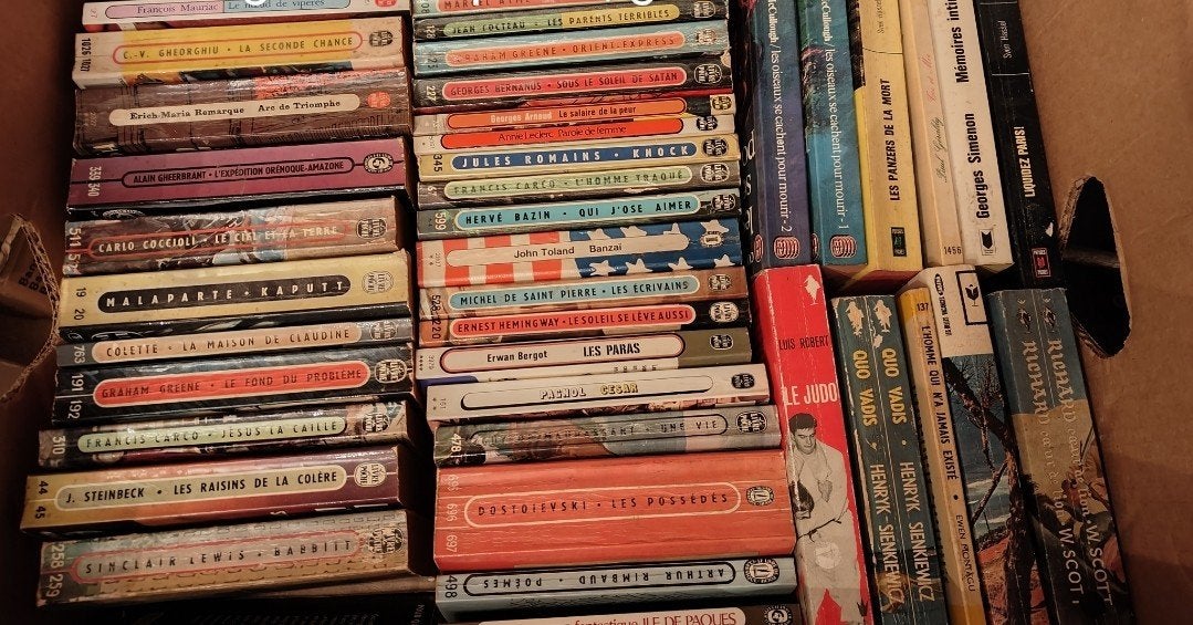 44 boeken, fictie, Franstalig, Ophalen, Gelezen, Populaire fictie