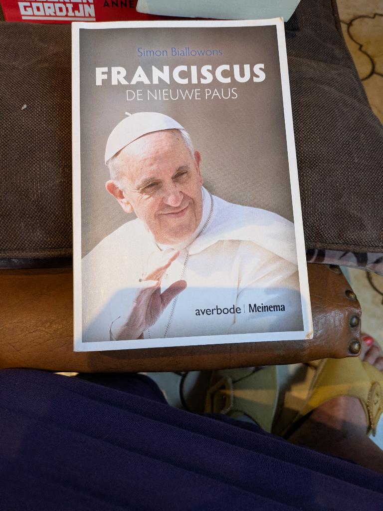 Franciscus de nieuwe paus, Boeken, Godsdienst en Theologie, Gelezen, Christendom | Katholiek, Ophalen of Verzenden, Simon biallowons