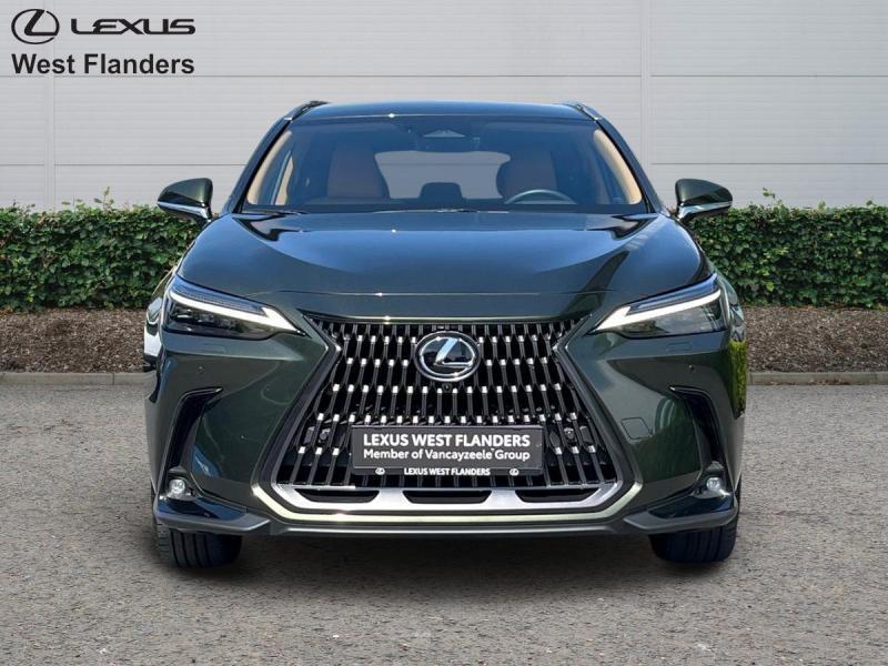 Lexus NX 450h+ Privilege line+360cam+gpas+sens V+A, USB, Euro 6, Bruin, 5 deurs