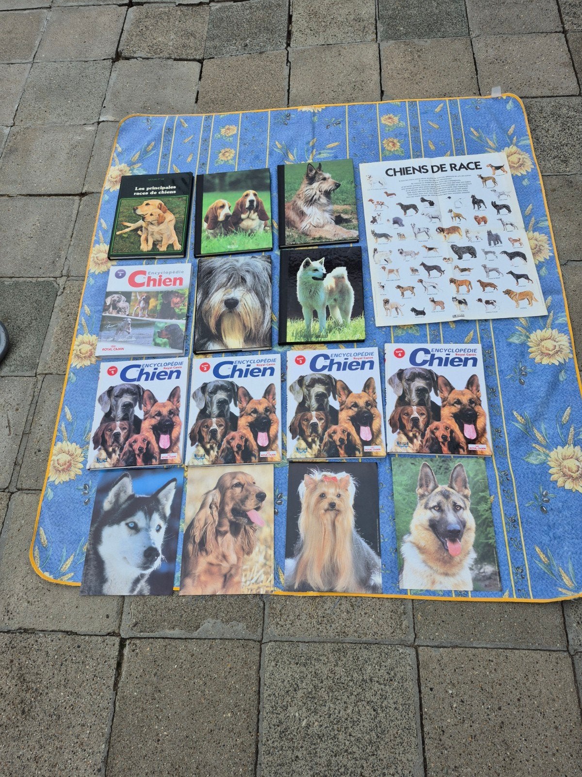 Lot de 10 livres races de chien + poster et photos, Ophalen